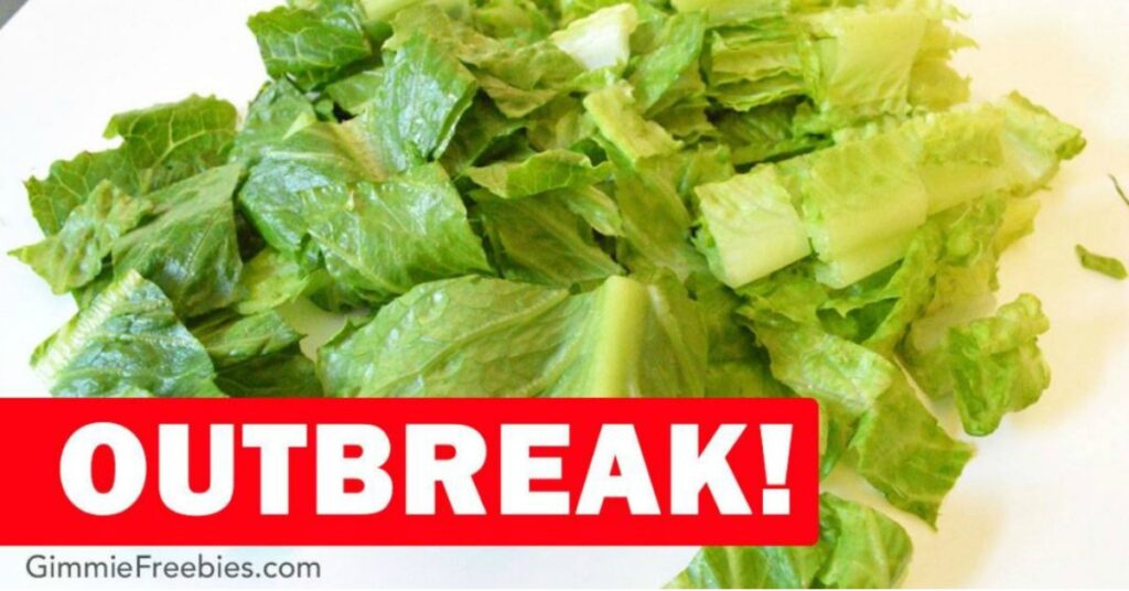 lettuce outbreak